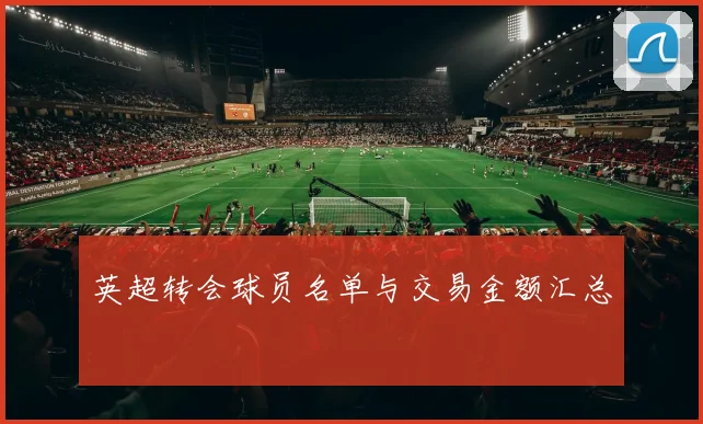 英超转会球员名单与交易金额汇总