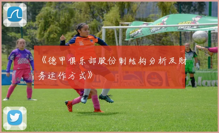 《德甲俱乐部股份制结构分析及财务运作方式》
