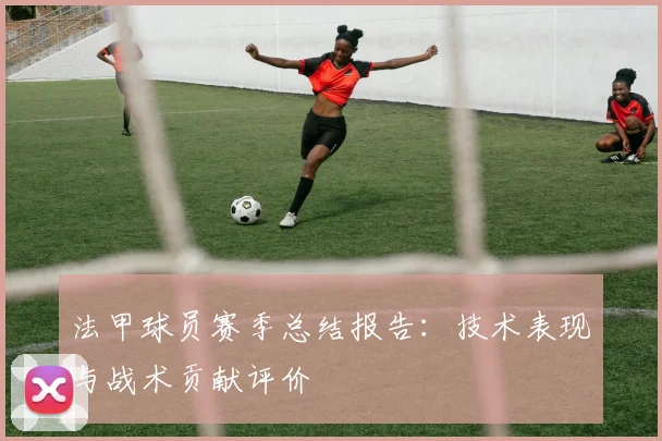 法甲球员赛季总结报告：技术表现与战术贡献评价